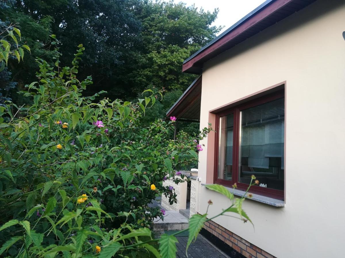 Ferienhaus Am Wald Loissin Exterior photo