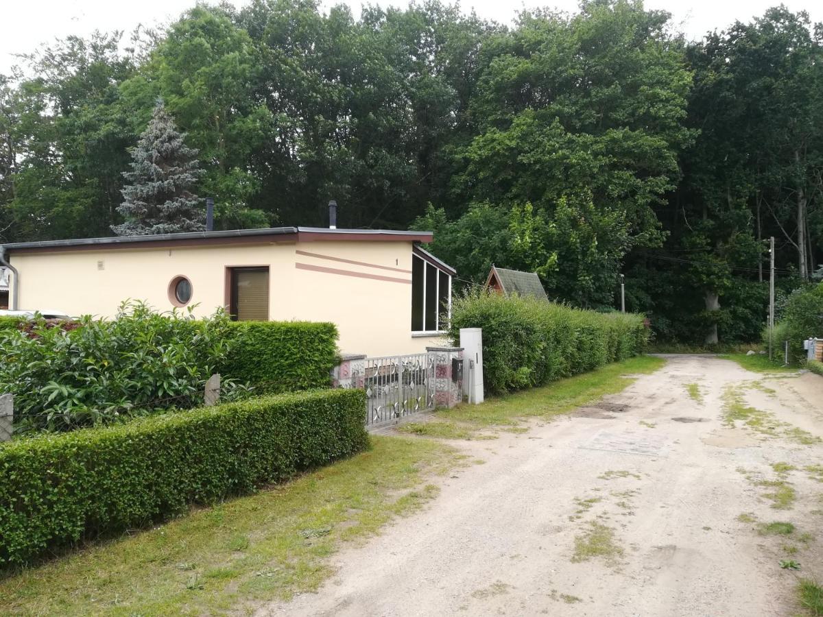 Ferienhaus Am Wald Loissin Exterior photo